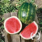 Organic Triple Star Hybrid Watermelon Seeds