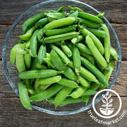 cascadia edible pod snap pea