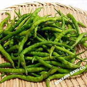 Pepper Seeds - Sweet - Himo Togarashi