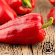 Hot Pepper - Mariachi Hybrid