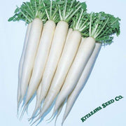 Radish Seeds - April Cross - Hybrid