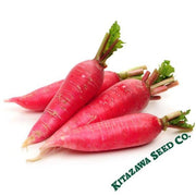 Radish Seeds - Chinese - Shunkyo