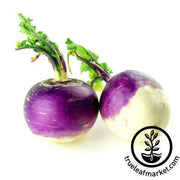 laurentian rutabaga