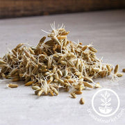 Rye - Winter (Organic) - Sprouting Seeds