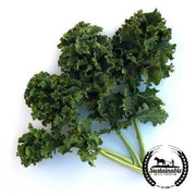 Organic Dwarf Siberian Kale Seeds