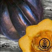 Ebony Acorn Squash Seeds