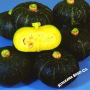 Squash Seeds - Winter - Kurinishiki - Hybrid