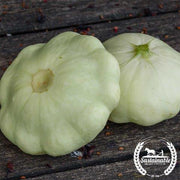 Squash Seeds, Summer - Scallop - White Bush - Organic