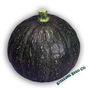 Squash Seeds - Japanese, Winter - Tetsukabuto - Hybrid