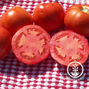 Tomato Beefsteak Vegetable Seed