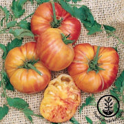 Tomato Seeds - Big Rainbow