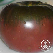 Tomato Black From Tula Seed