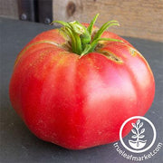 Tomato Seeds - Slicing - Brandywine Pink (Organic)