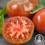 Tomato Seeds - Chef's Choice Purple F1